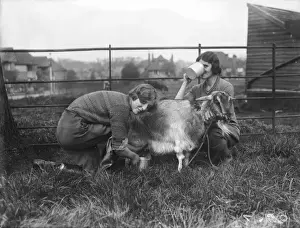 Milking Prints: Milking a Goat