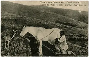 Steppe Prints: Milking a mare, Central Asia