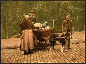 Milksellers, Brussels, Belgium