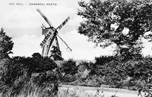 Hedge Prints: The Mill, Chadwell Heath, Romford, Essex