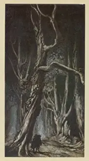 Comus Prints: Miltons Comus / Rackham