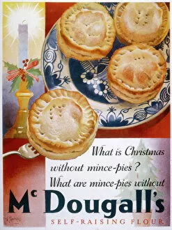 Images Dated 12th October 2007: MINCE PIES