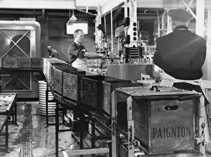 Mineral Water Factory