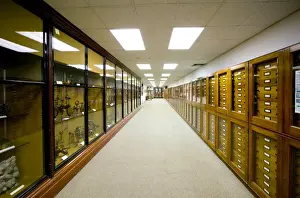 Drawer Prints: Mineralogy corridor