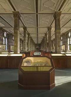 The Minerals Gallery