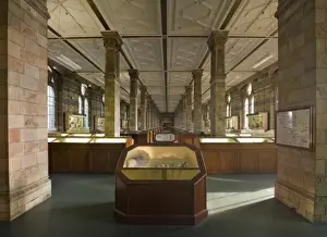 The Minerals Gallery