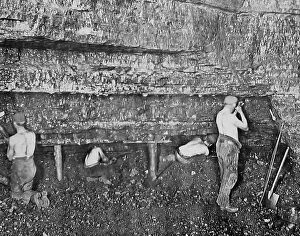 Mines Collection: Miners at the Coal Face Victorian period