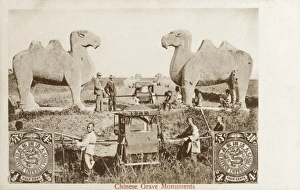 Images Dated 6th April 2011: Ming Xiaoling Mausoleum, China - Camel Statues