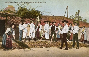 Images Dated 14th June 2011: Minho, Portugal - Corn threshing