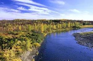 Tundra Prints: minor river in semi-tundra in autumn, near Dudinka