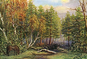 Miocene Gallery: Miocene L scape