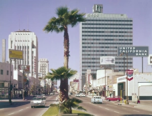Images Dated 24th October 2011: MIRACLE MILE