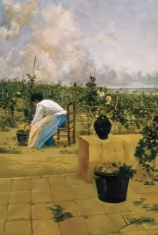 MIRO I ARGENTER, Joaquim de (1849-1914). Grapeharvest