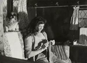 Flirtatious Gallery: A mischievous-looking girl, caught on camera knitting in an armchair in her cottage