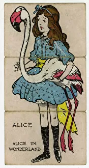 Images Dated 8th February 2017: Misfitz - Alice in Wonderland