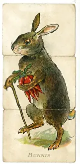 Segments Prints: Misfitz - Bunnie