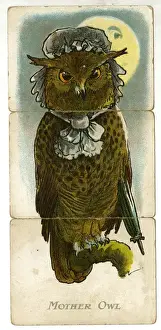 Owls Prints: Misfitz - Mother Owl