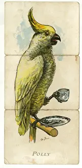Parrots Prints: Misfitz - Polly