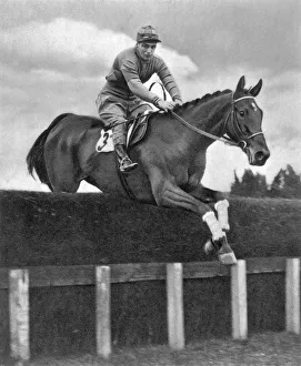 Champion Collection: Miss Dorothy Pagets Golden Miller in action