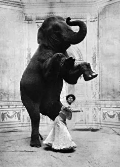 Miss Orford and her performing elephant