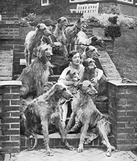 Miss Richmond and her deerhounds