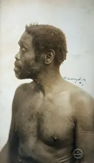 The missing link, 1