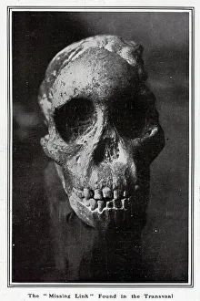 Dart Prints: Missing Link Skull