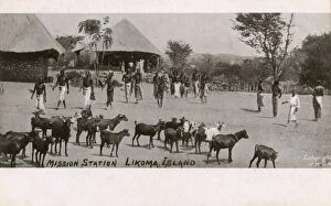 Evangelism Collection: Mission Station, Likoma Island, Nyasaland