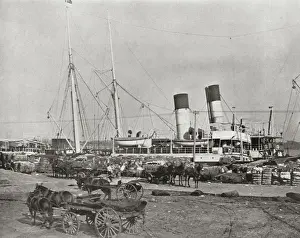 Bales Prints: Mississippi Cotton Steamer, New Orleans, Louisiana, USA