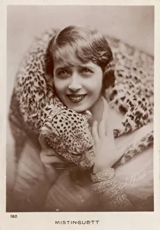 Wrapped Collection: Mistinguett / Leopard