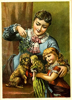 Images Dated 22nd August 2017: The Mistletoe Bow-Wow