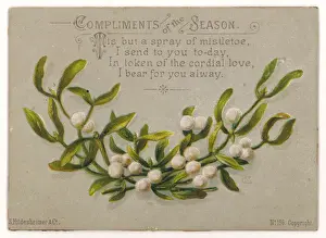 Compliments Prints: MISTLETOE / CARD / COMPLIMEN