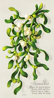 Sprigs Prints: Mistletoe on a Christmas card