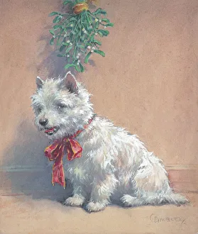 Ambler Collection: Under the Mistletoe Scottish terrier Dogs Watercolour