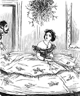Thwarted Prints: Mistletoe thwarted by crinoline, 1857