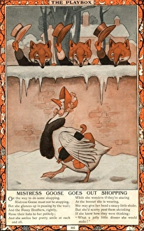 Images Dated 1st February 2012: Mistress Goose goes shopping