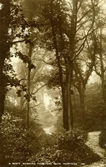 A Misty Morning, Fairlight Glen, Hastings, Sussex