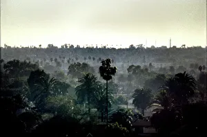 Shone Prints: Misty urban landscape, Los Angeles, USA