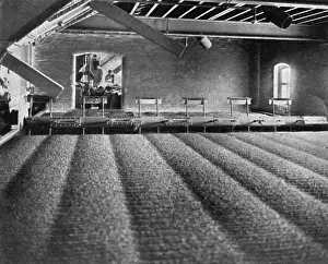 Malt Prints: Mitchells and Butlers Brewery Kiln