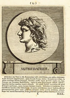 Gods And Heroes Prints: Mithradates VI Eupator of Pontus