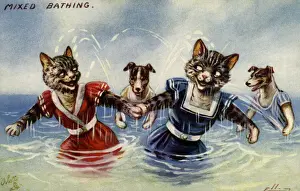 Mixed bathing