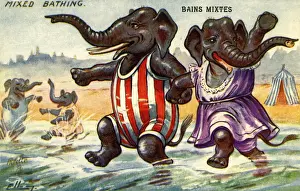 Mixed bathing