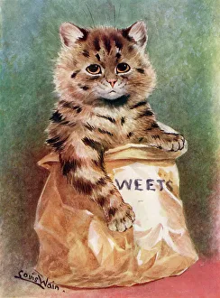 Tucks Prints: Mixed Sweets, comical cat in a bag of sweets
