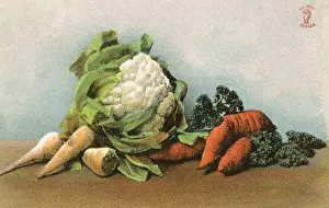 Turnips Prints: Mixed Vegetables 20C