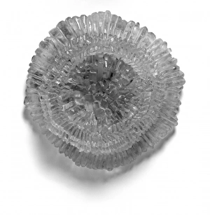 Algal Gallery: Model of coccolith Kamptnerius magnificus