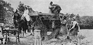 Dairy Prints: A model dairy farm at Carlton House Terrace, WW1