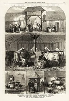 Seine Prints: A model farm at the Paris Exposition, 1867