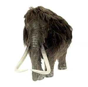 Model of the Ilford Mammoth