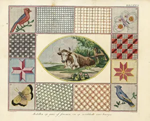 Lattice Prints: Models for embroidered muslin purses