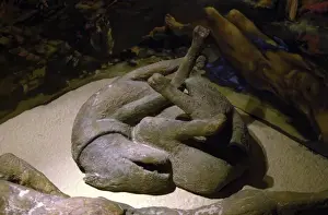 Preservation Prints: Models of Pompeii victims